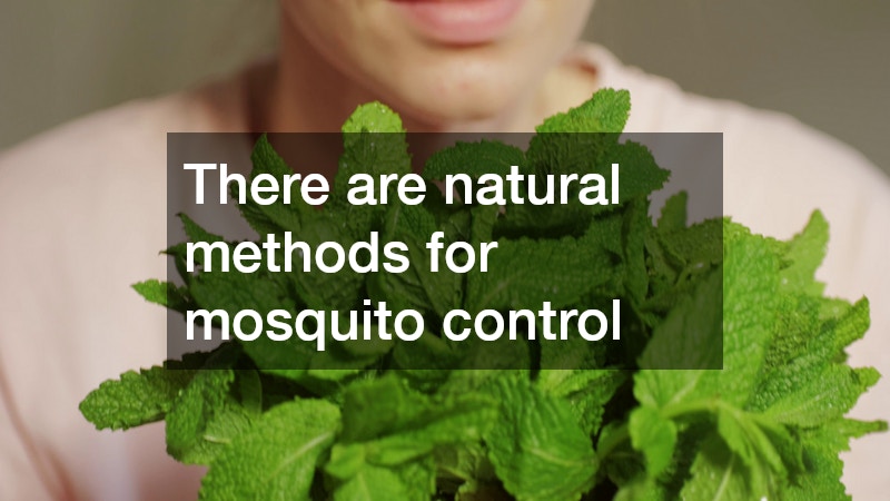There are natural methods for mosquito control
