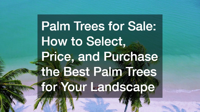 Palm Trees for Sale: How to Select, Price, and Purchase the Best Palm Trees for Your Landscape