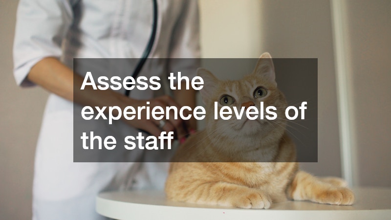 Assess the experience levels of the staff