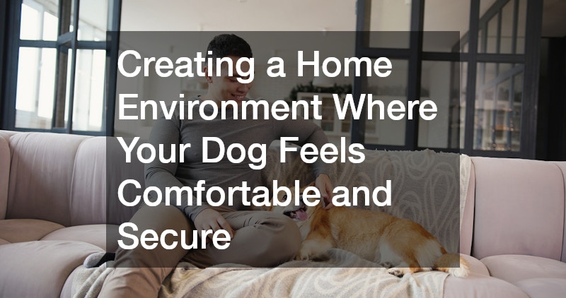 Creating a Home Environment Where Your Dog Feels Comfortable and Secure