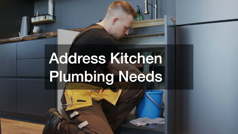Address Kitchen Plumbing Needs