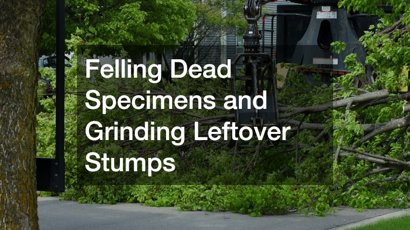 Felling Dead Specimens and Grinding Leftover Stumps