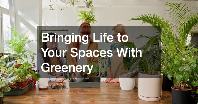 Bringing Life to Your Spaces With Greenery
