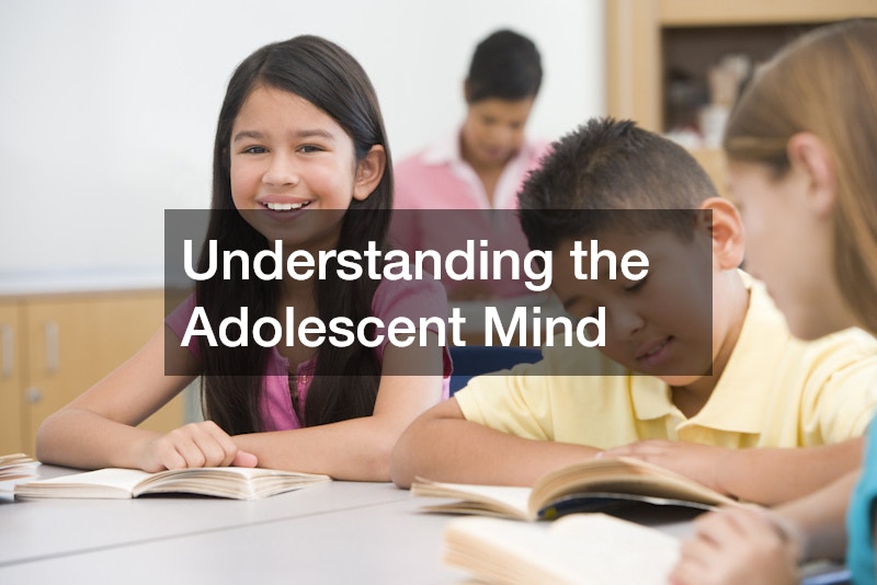 Understanding the Adolescent Mind