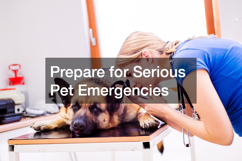 Prepare for Serious Pet Emergencies