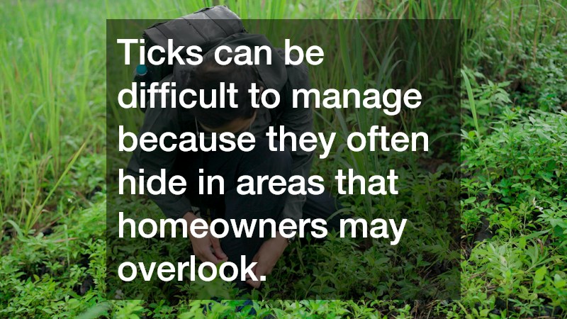 Ticks can be difficult to manage because they often hide in areas that homeowners may overlook.
