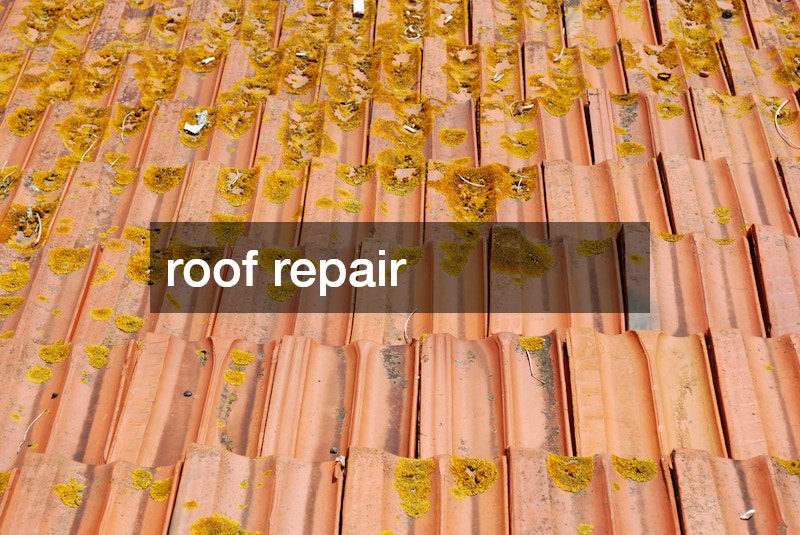 roof repair