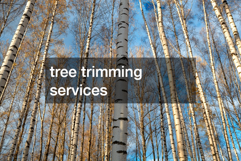 tree trimming services