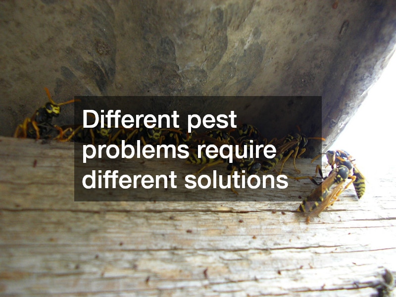 Different pest problems require different solutions