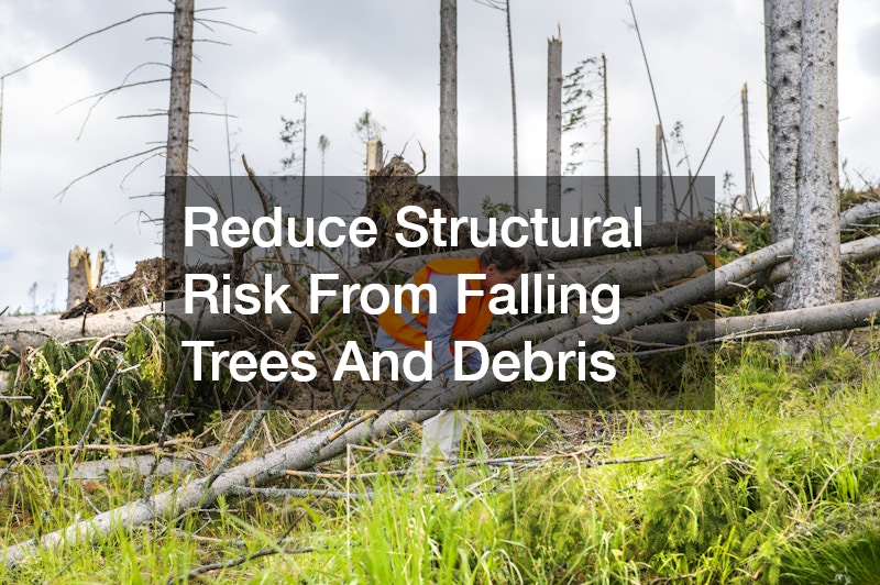 Reduce Structural Risk From Falling Trees And Debris
