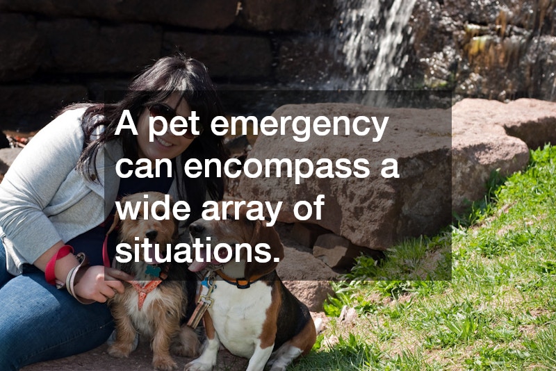 A pet emergency can encompass a wide array of situations.