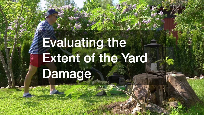 Evaluating the Extent of the Yard Damage