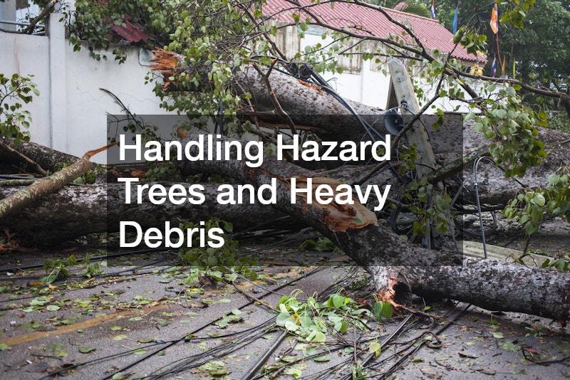 Handling Hazard Trees and Heavy Debris