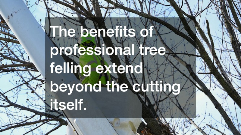 The benefits of professional tree felling extend beyond the cutting itself.