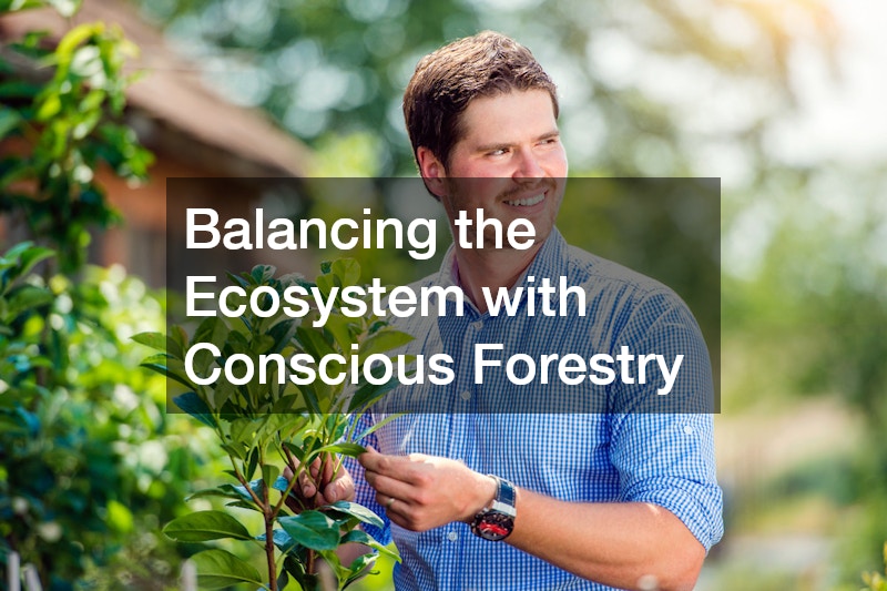 Balancing the Ecosystem with Conscious Forestry