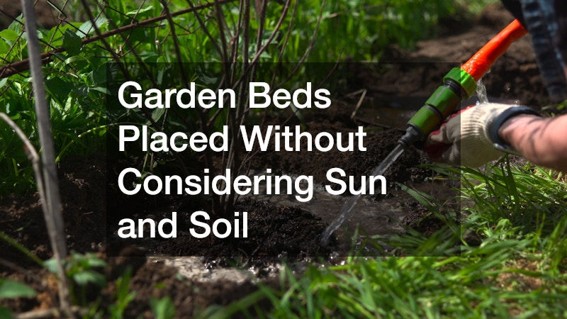 Garden Beds Placed Without Considering Sun and Soil