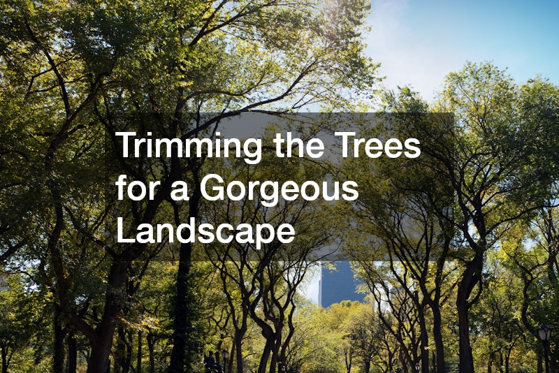 Trimming the Trees for a Gorgeous Landscape