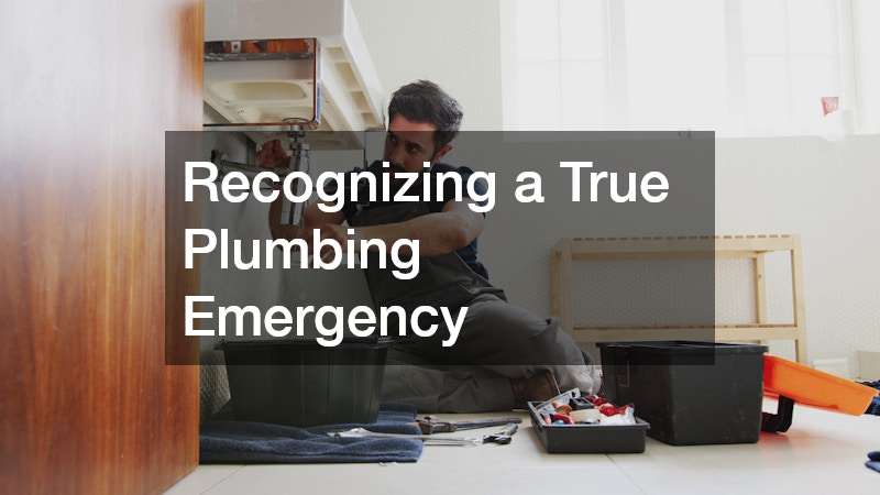 Recognizing a True Plumbing Emergency
