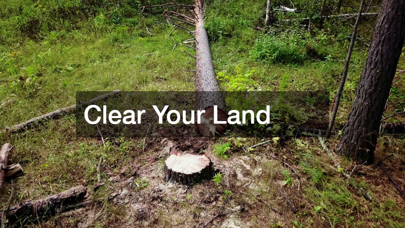 Clear Your Land