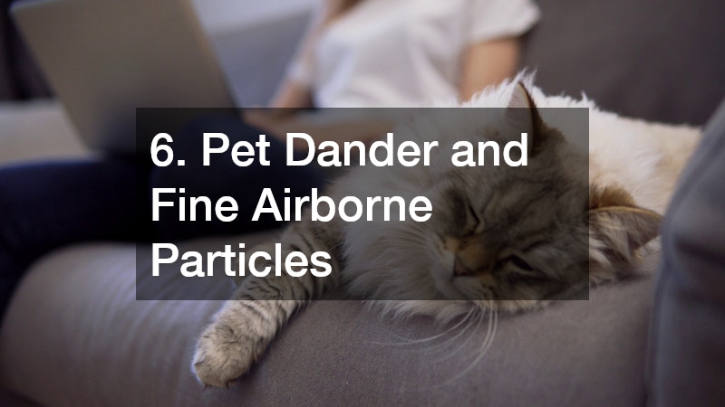 6. Pet Dander and Fine Airborne Particles
