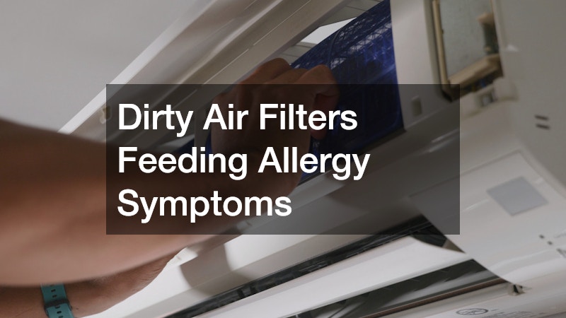 Dirty Air Filters Feeding Allergy Symptoms