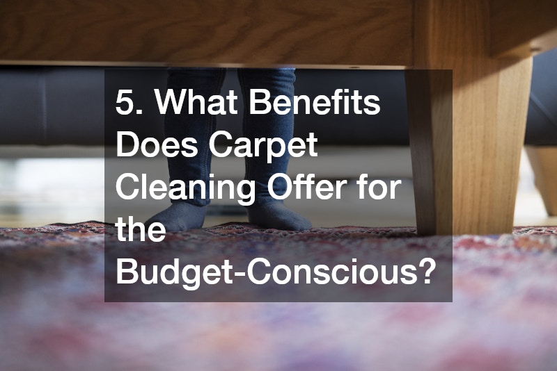 5. What Benefits Does Carpet Cleaning Offer for the Budget-Conscious?
