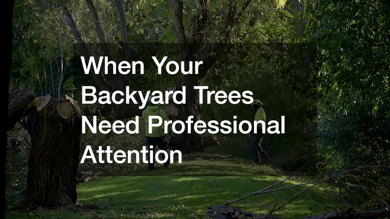 When Your Backyard Trees Need Professional Attention