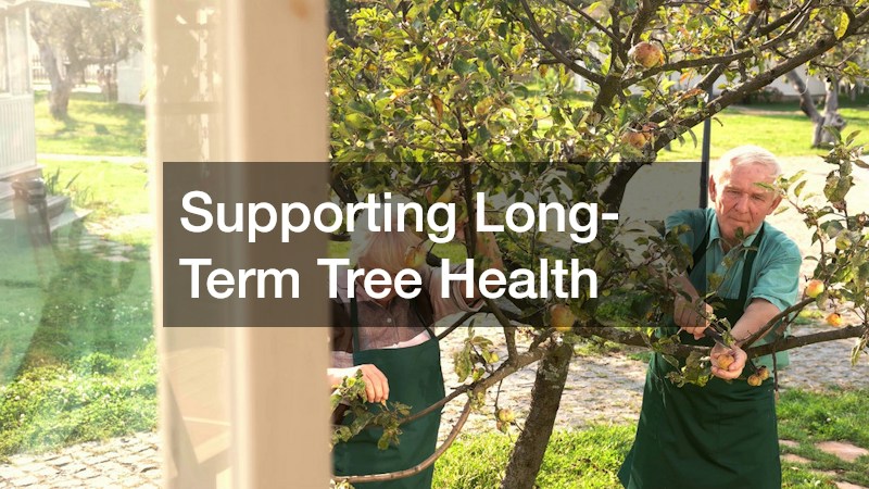 Supporting Long-Term Tree Health