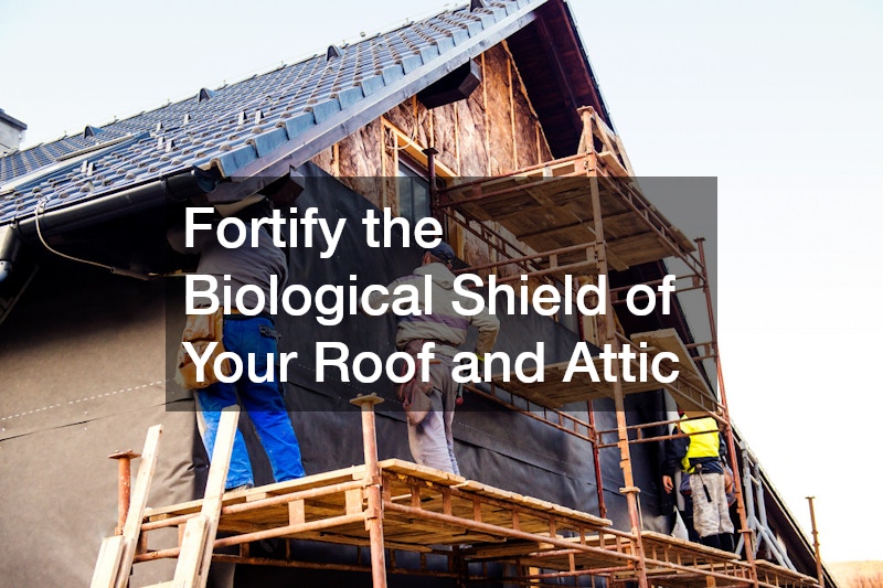 Fortify the Biological Shield of Your Roof and Attic