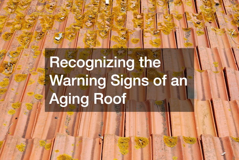Recognizing the Warning Signs of an Aging Roof