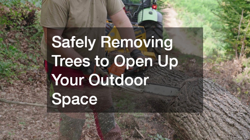 Safely Removing Trees to Open Up Your Outdoor Space