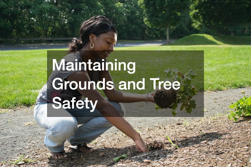 Maintaining Grounds and Tree Safety