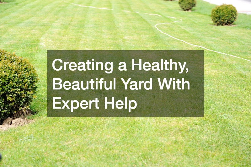 Creating a Healthy, Beautiful Yard With Expert Help