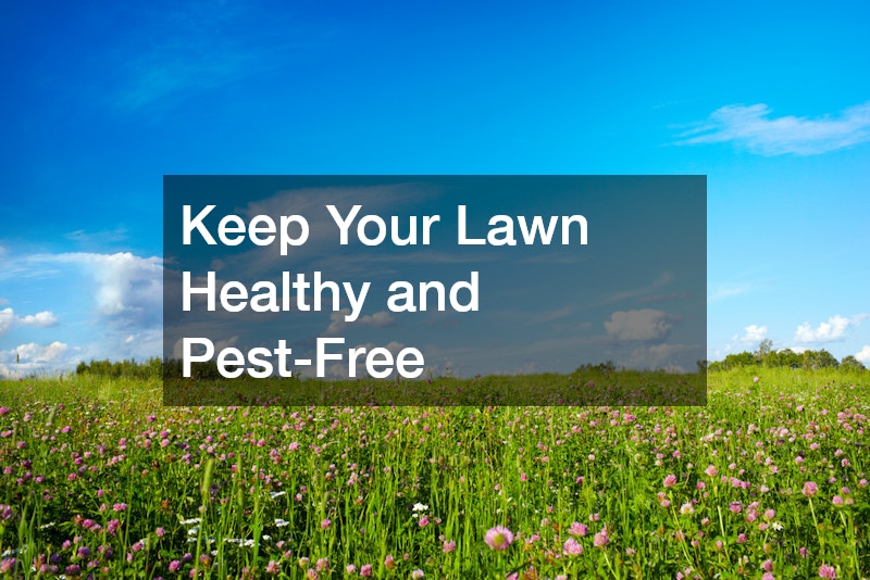 Keep Your Lawn Healthy and Pest-Free