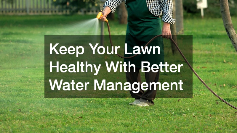 Keep Your Lawn Healthy With Better Water Management