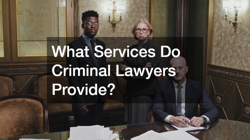 What Services Do Criminal Lawyers Provide?