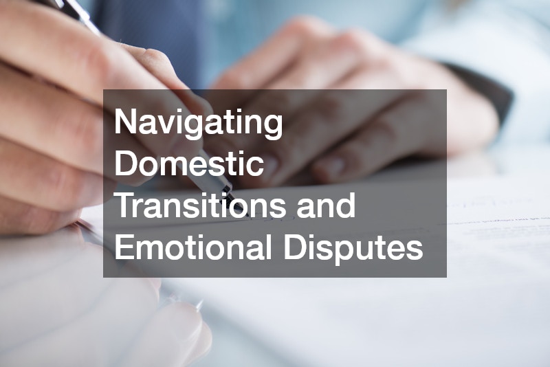 Navigating Domestic Transitions and Emotional Disputes