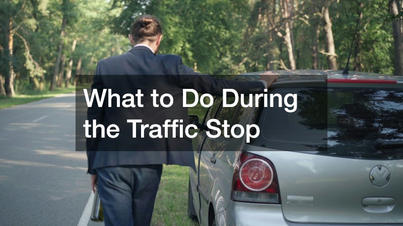 What to Do During the Traffic Stop