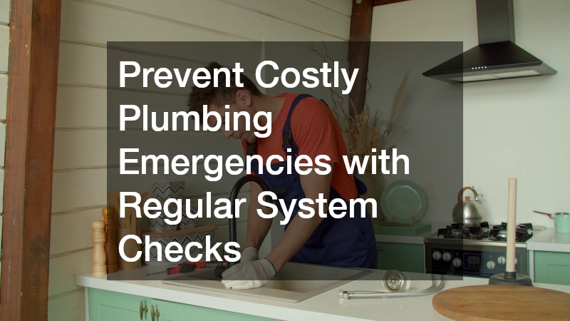 Prevent Costly Plumbing Emergencies with Regular System Checks