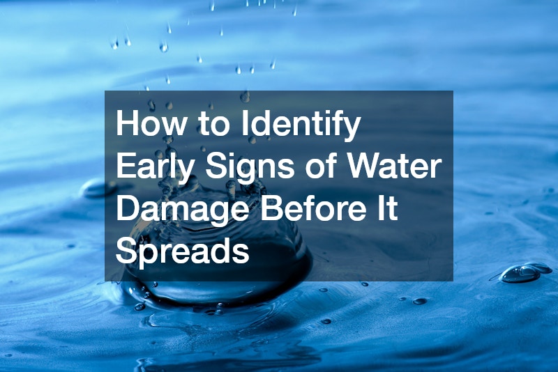 How to Identify Early Signs of Water Damage Before It Spreads