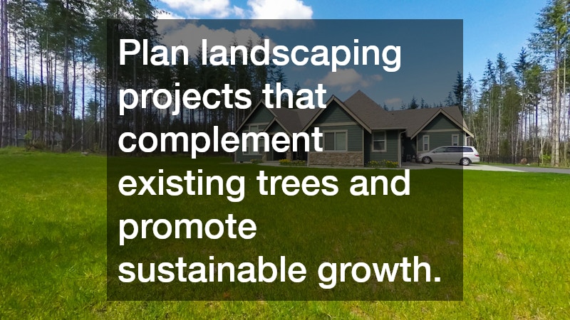 Plan landscaping projects that complement existing trees and promote sustainable growth.