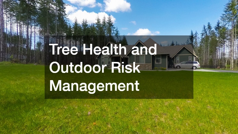 Tree Health and Outdoor Risk Management