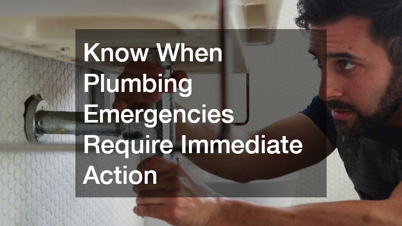 Know When Plumbing Emergencies Require Immediate Action