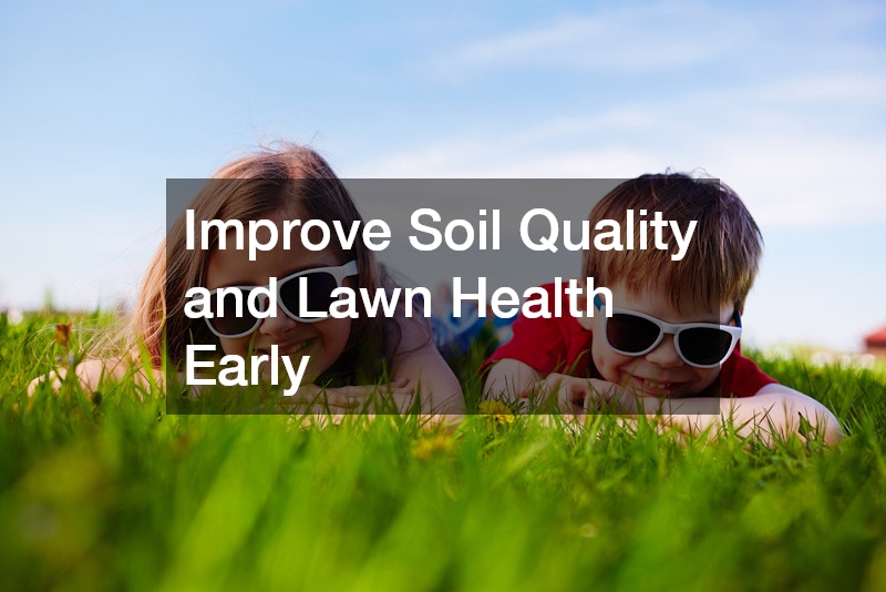 Improve Soil Quality and Lawn Health Early