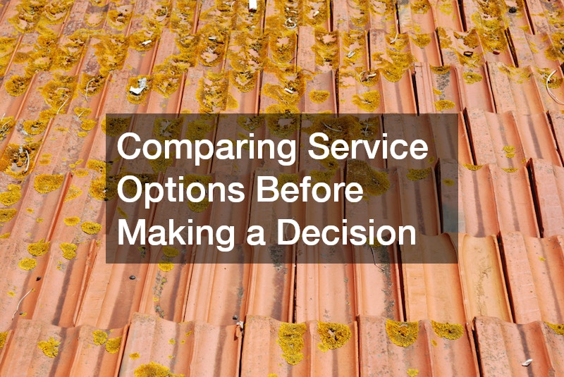 Comparing Service Options Before Making a Decision