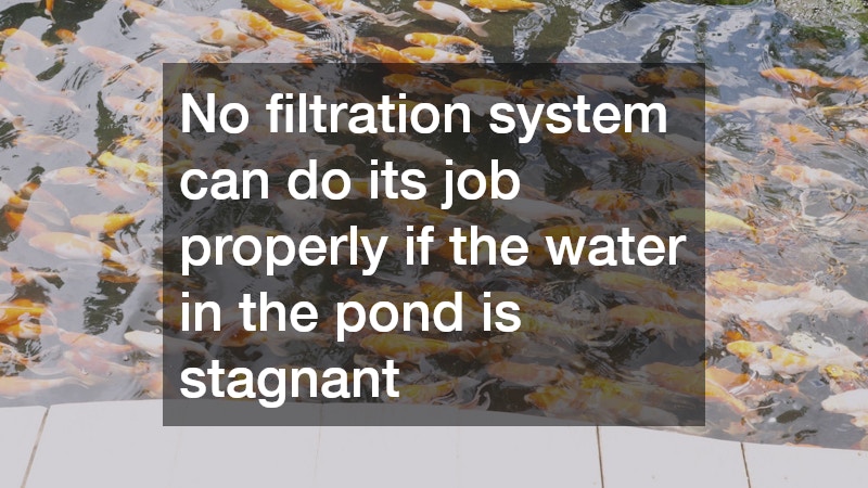 No filtration system can do its job properly if the water in the pond is stagnant