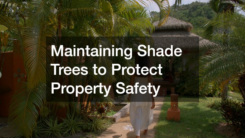 Maintaining Shade Trees to Protect Property Safety