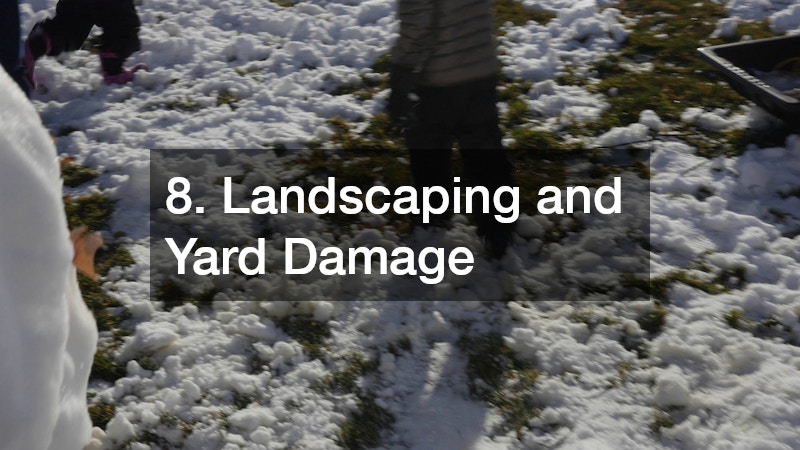 8. Landscaping and Yard Damage