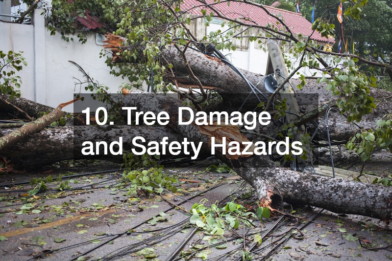 10. Tree Damage and Safety Hazards