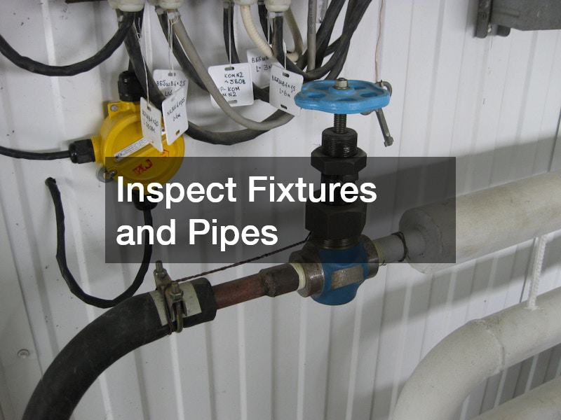 Inspect Fixtures and Pipes